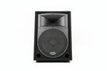 Samson Resound RS15M - Passive Floor Monitors - Black - Excellent - Image 1