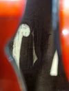 Framus Sorella 5/59, 1960’s, Black Rose, Acoustic Made In West Germany – Acoustic Guitar - Good - Photo 17