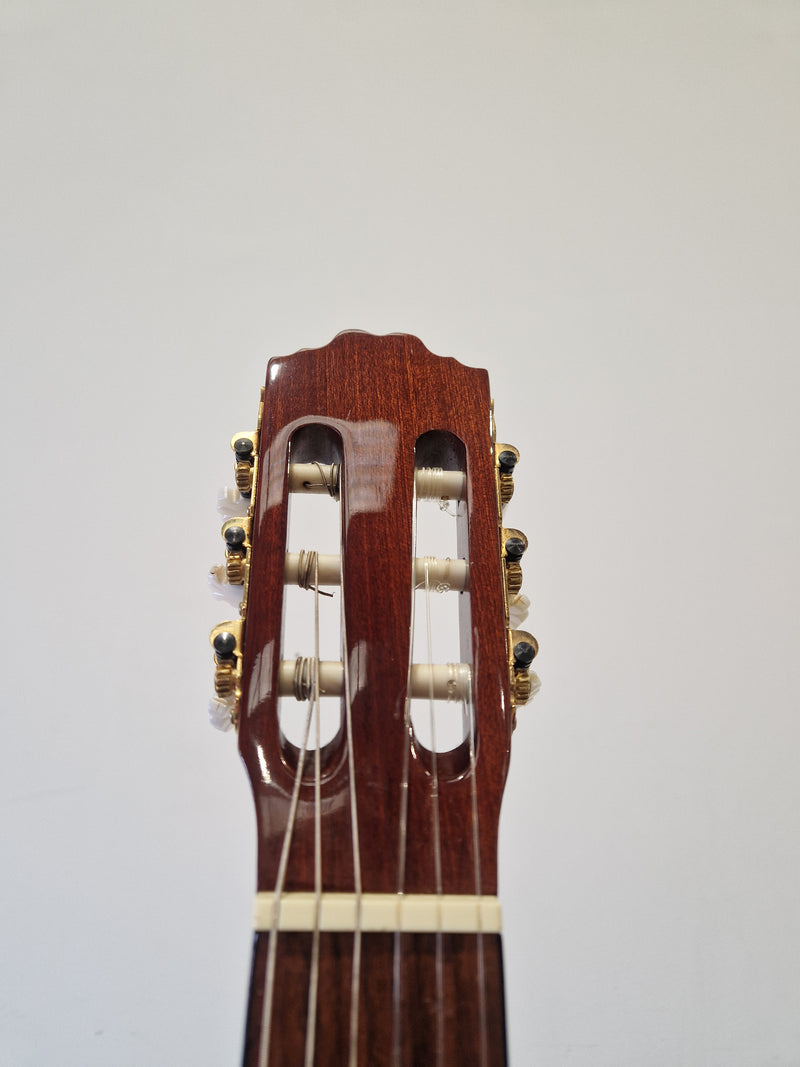 Espana CGP - Acoustic Guitar - Excellent - Image 4