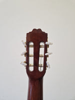Espana CGP - Acoustic Guitar - Excellent - Image 2