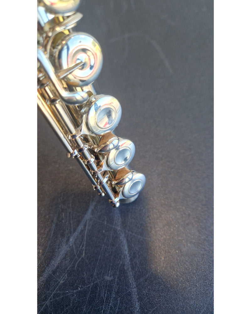 Muramatsu EX - Wind Instrument - Silver - Good w/ Hard Case & Soft Case - image 10