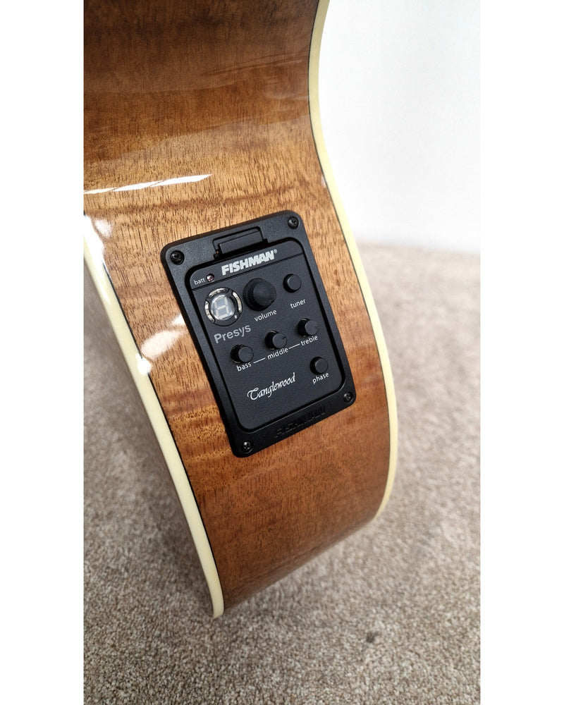 Tanglewood TSF - Acoustic Guitar - Natural - Like New w/ Hard Case - image 5