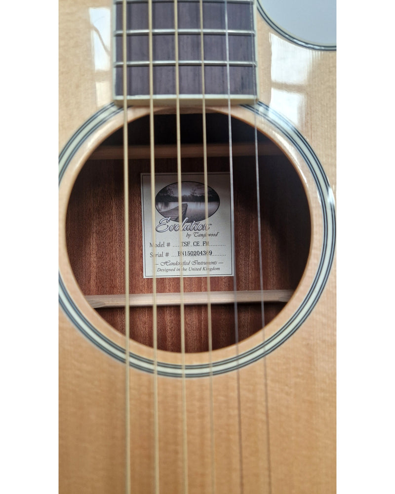 Tanglewood TSF - Acoustic Guitar - Natural - Like New w/ Hard Case - image 12