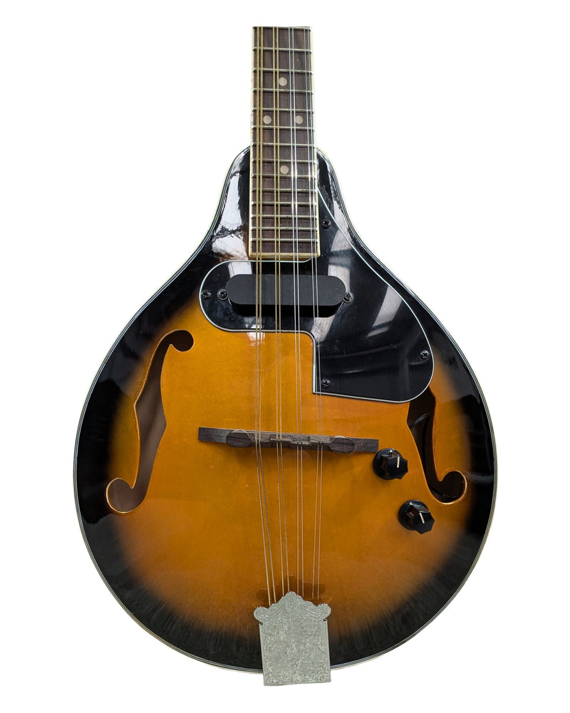 Chord Electric Mandolin - Violins & Strings - Good w/ Soft Case - image 1