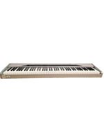 Casio Privia PX-310 - Digital Piano - Weighted Keys - Good w/ Power Supply - Image 1