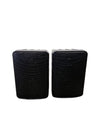 Phonic SE-206 HI-FI Speaker Pair Audio Equipment - Crisp Sound - Good - Photo 1