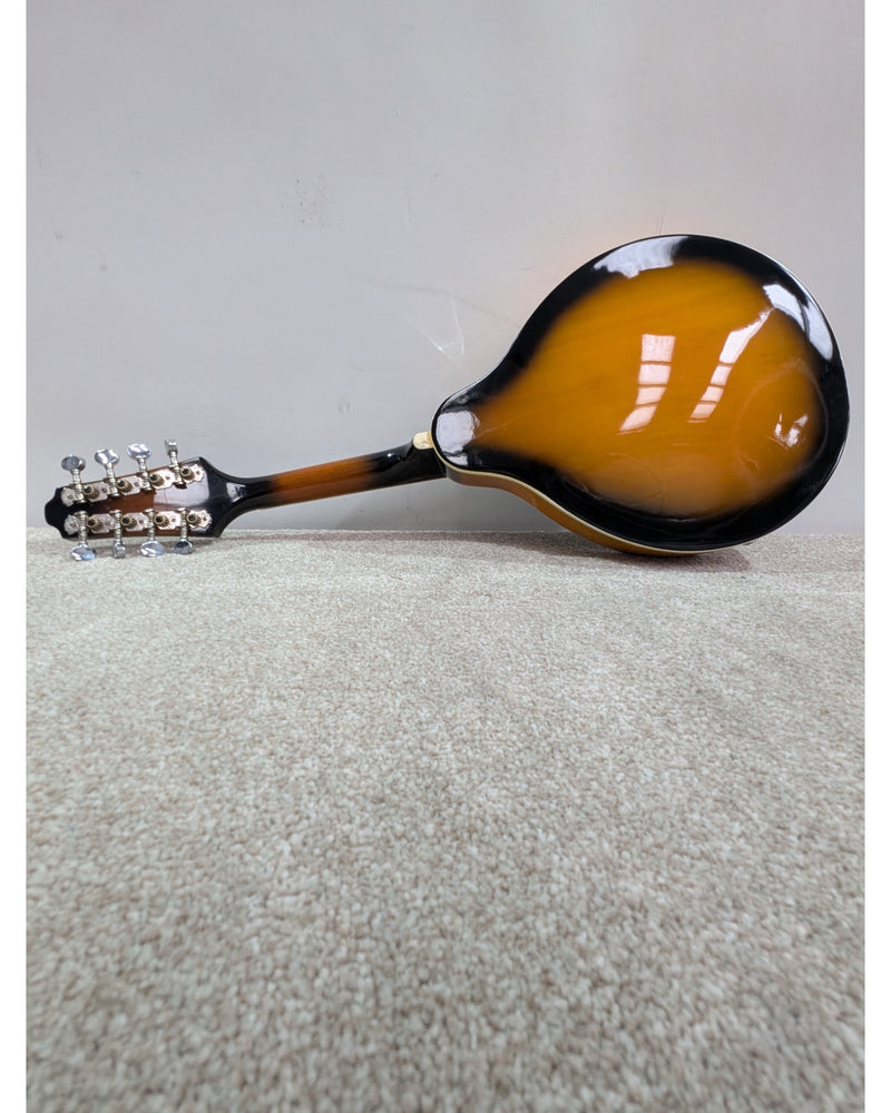 Chord Electric Mandolin - Violins & Strings - Good w/ Soft Case - image 12