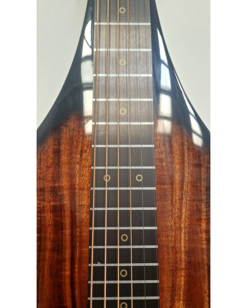 Emerald Solace Custom Run 2022 - Weissonborn - Like New w/ Hard Case - image 5