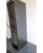 Meridian M60 - Floor Standing Speaker - Good - Image 6