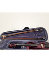 Carlo Giordano CV-210E Electric Violin 4/4 - Excellent w/ Hard Case & 2 bows - Photo 4