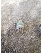 Jan GE 5670 Vacuum Tube Valve Pair – Vacuum tube - Excellent - Image 3