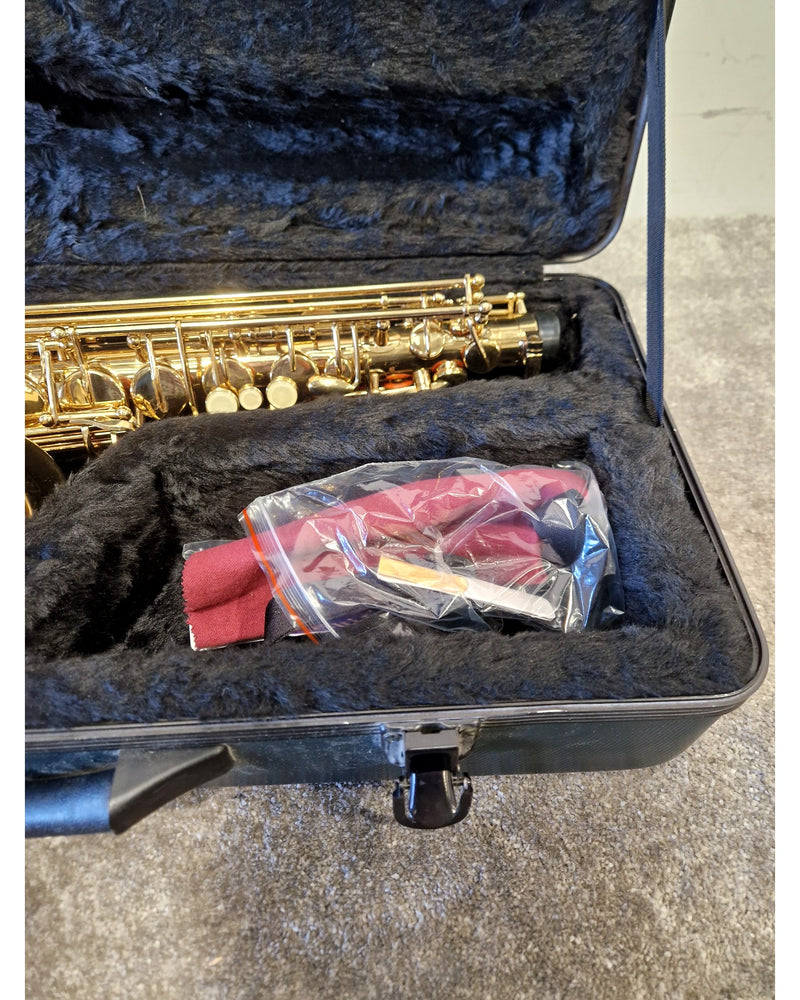 Rikter Alto - Saxophone - Excellent w/ Hard Case - Image 12