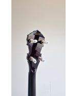 Fender FB58 - Banjo - Very Good w/ Hard Case - Image 14