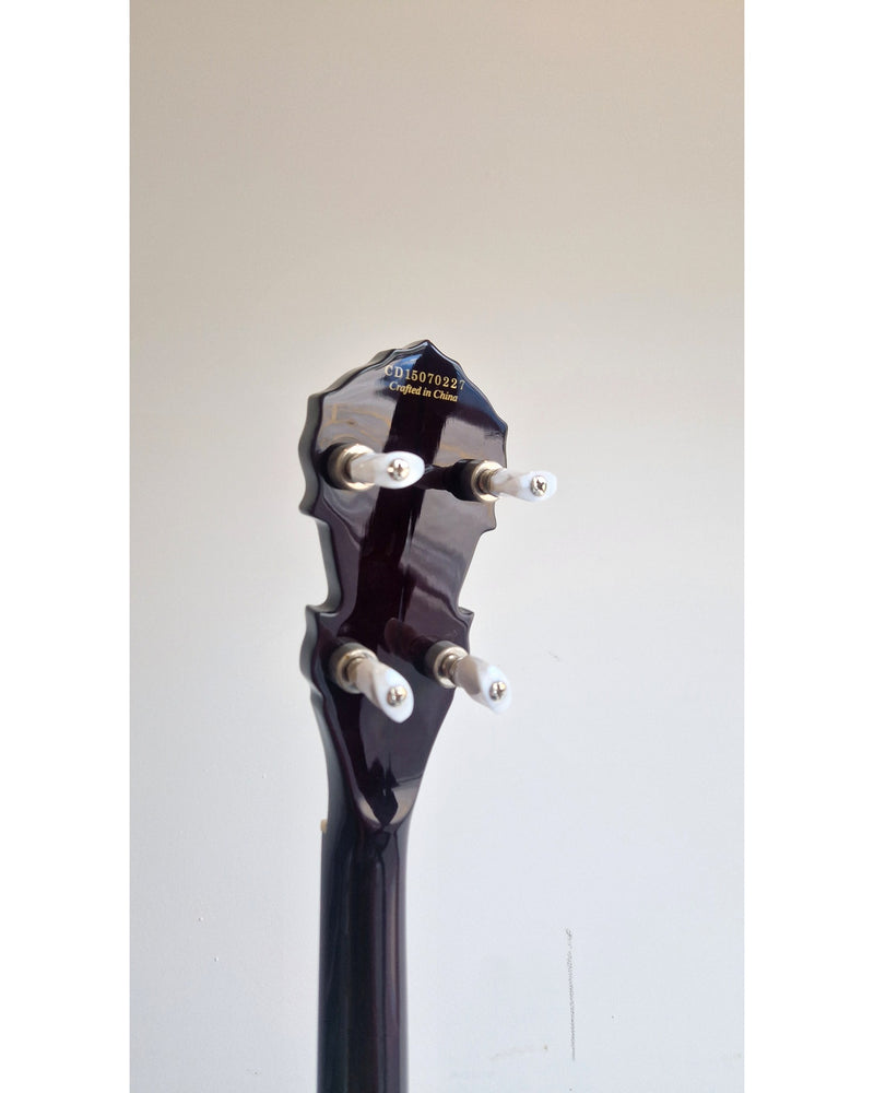 Fender FB58 - Banjo - Very Good w/ Hard Case - Image 14