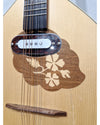 HORA Irish Bouzouki - String Instruments - Excellent - Photo 15