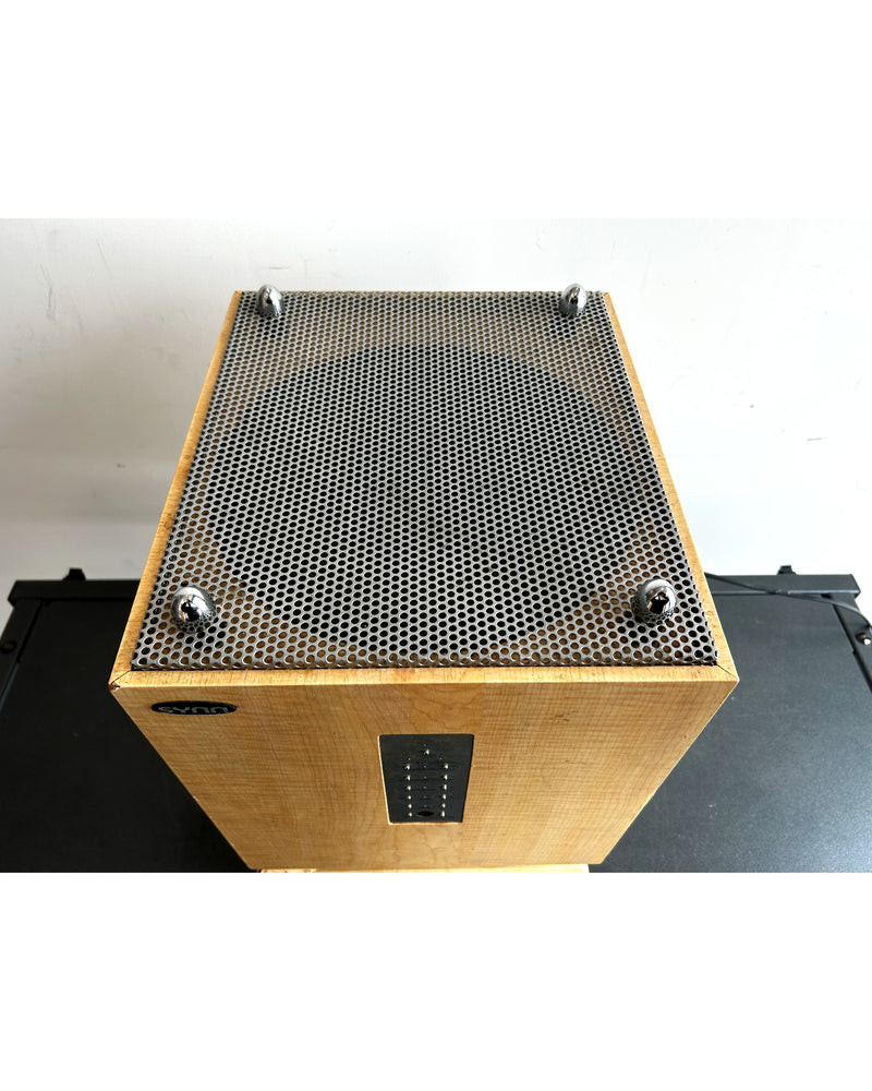 SYNN HC-501 - Subwoofers - Fair - Image 5