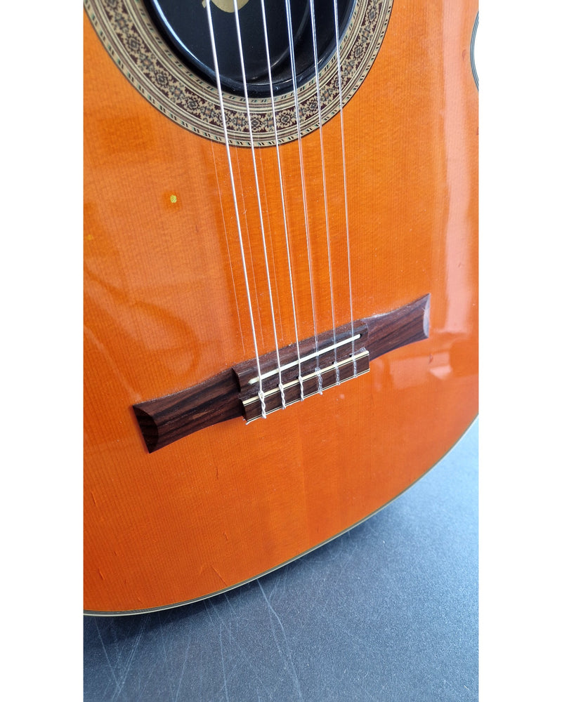 Epiphone Chet Atkins SST - Refurbished - Image 10