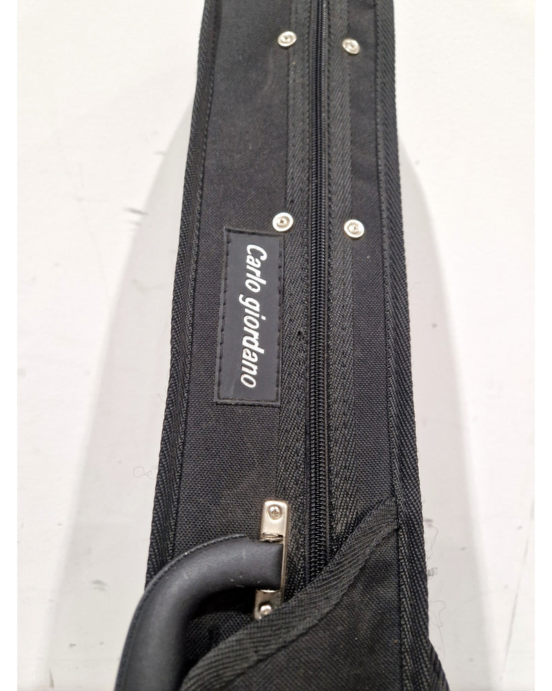 Carlo Giordano CV-210E Electric Violin 4/4 - Excellent w/ Hard Case & 2 bows - Image 14