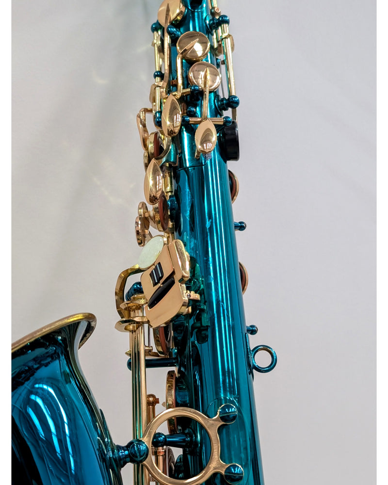 Elkhart 300 Series - Saxophone - Teal/Gold - Very Good - image 4