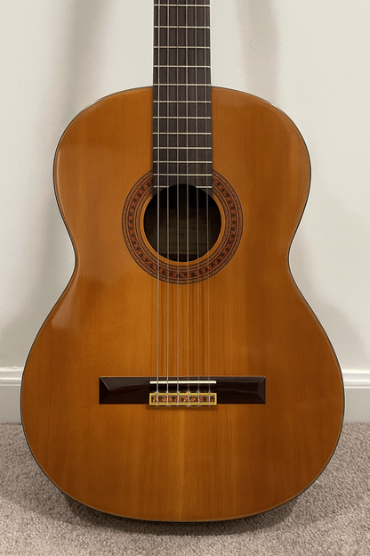 Fender Classic FC-20 - Nylon String Acoustic Guitar - Excellent