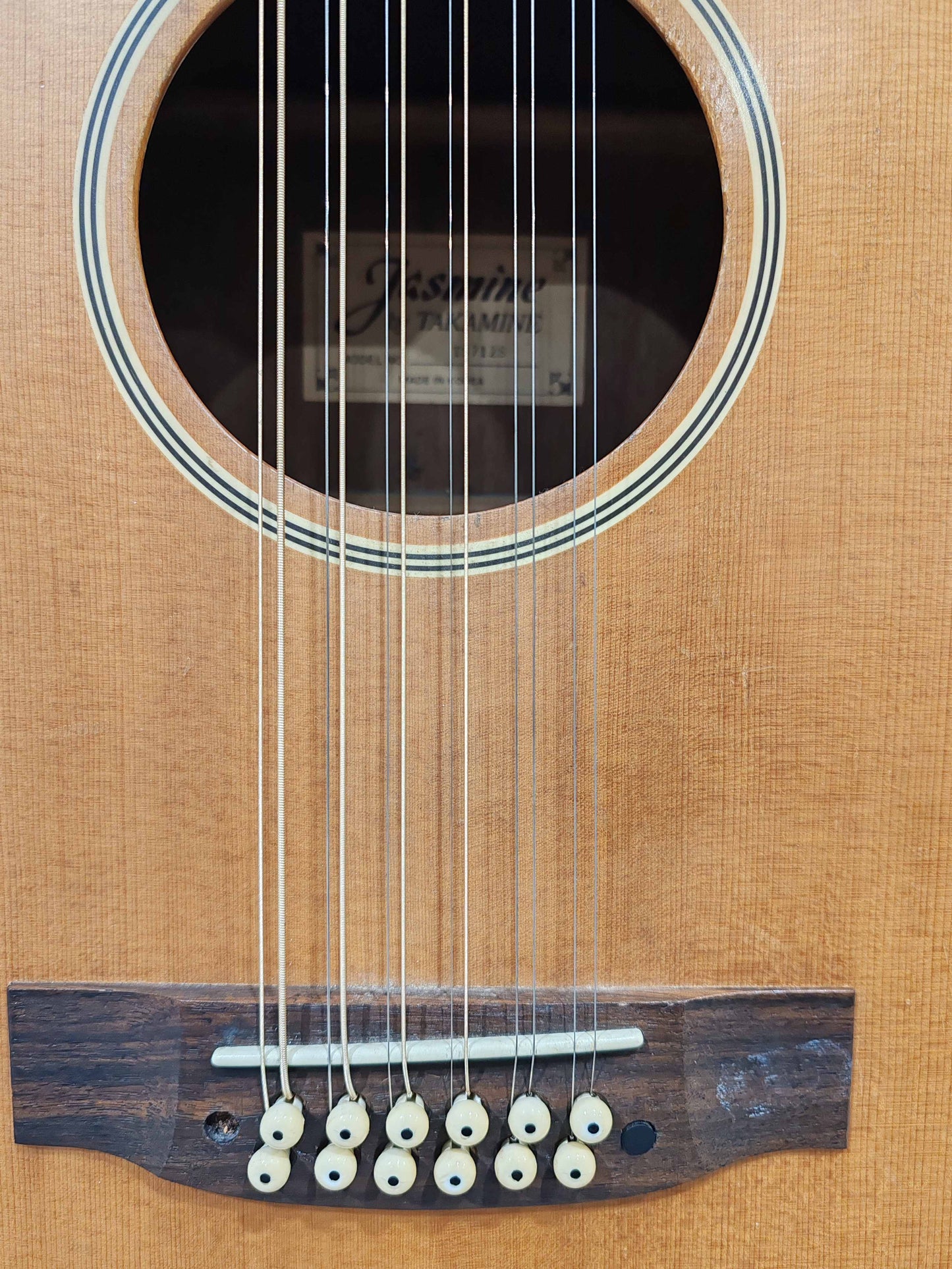 Jasmine by Takamine S-612 12-string electro acoustic guitar