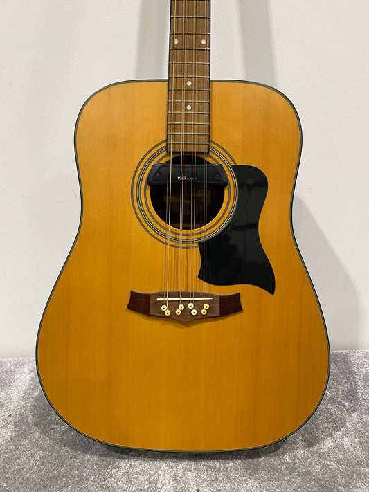 Mandocello Conversion Of Tanglewood Indiana TW-28-SNG w/ Sound Hole Pickup