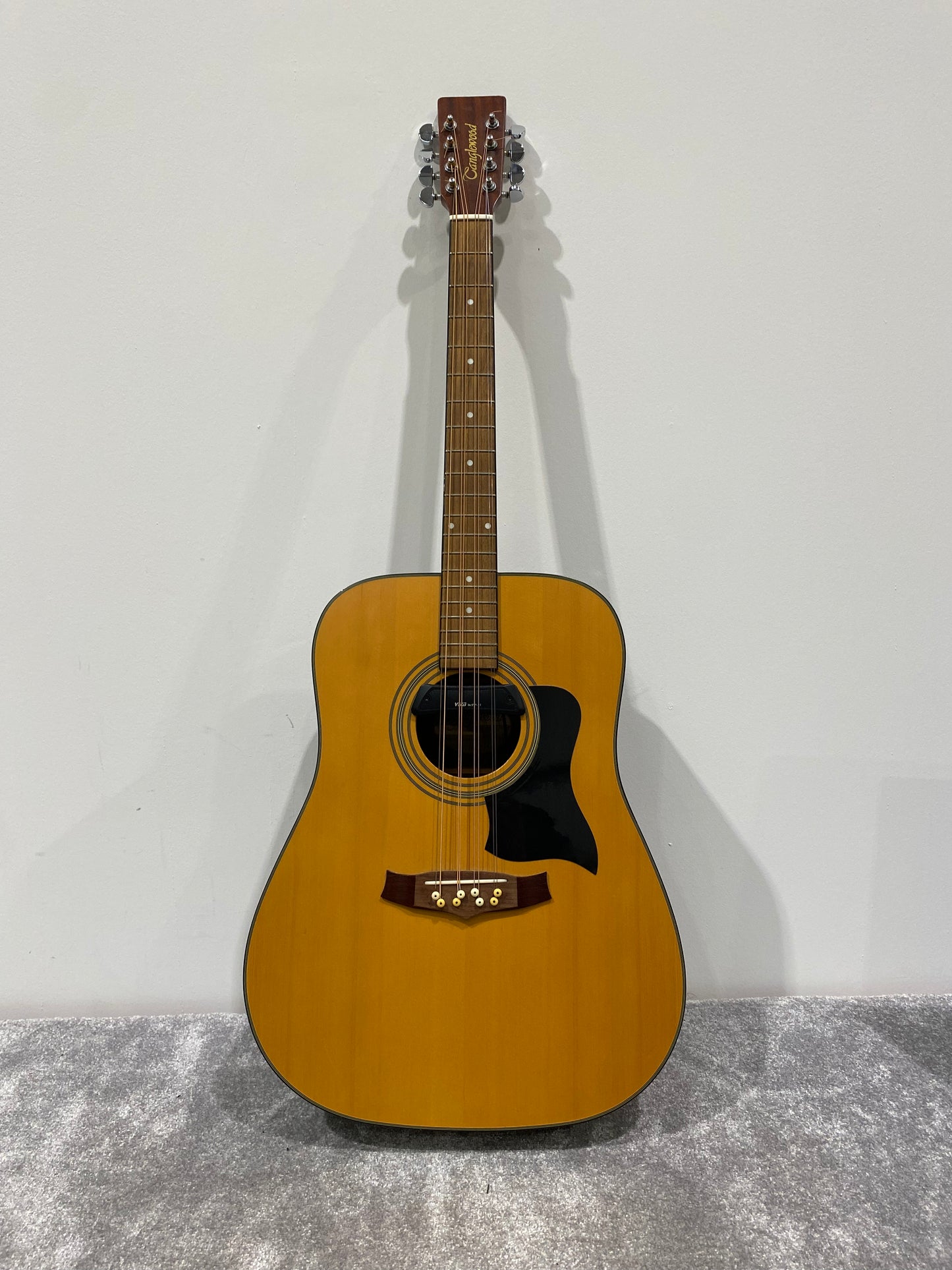 Mandocello Conversion Of Tanglewood Indiana TW-28-SNG w/ Sound Hole Pickup