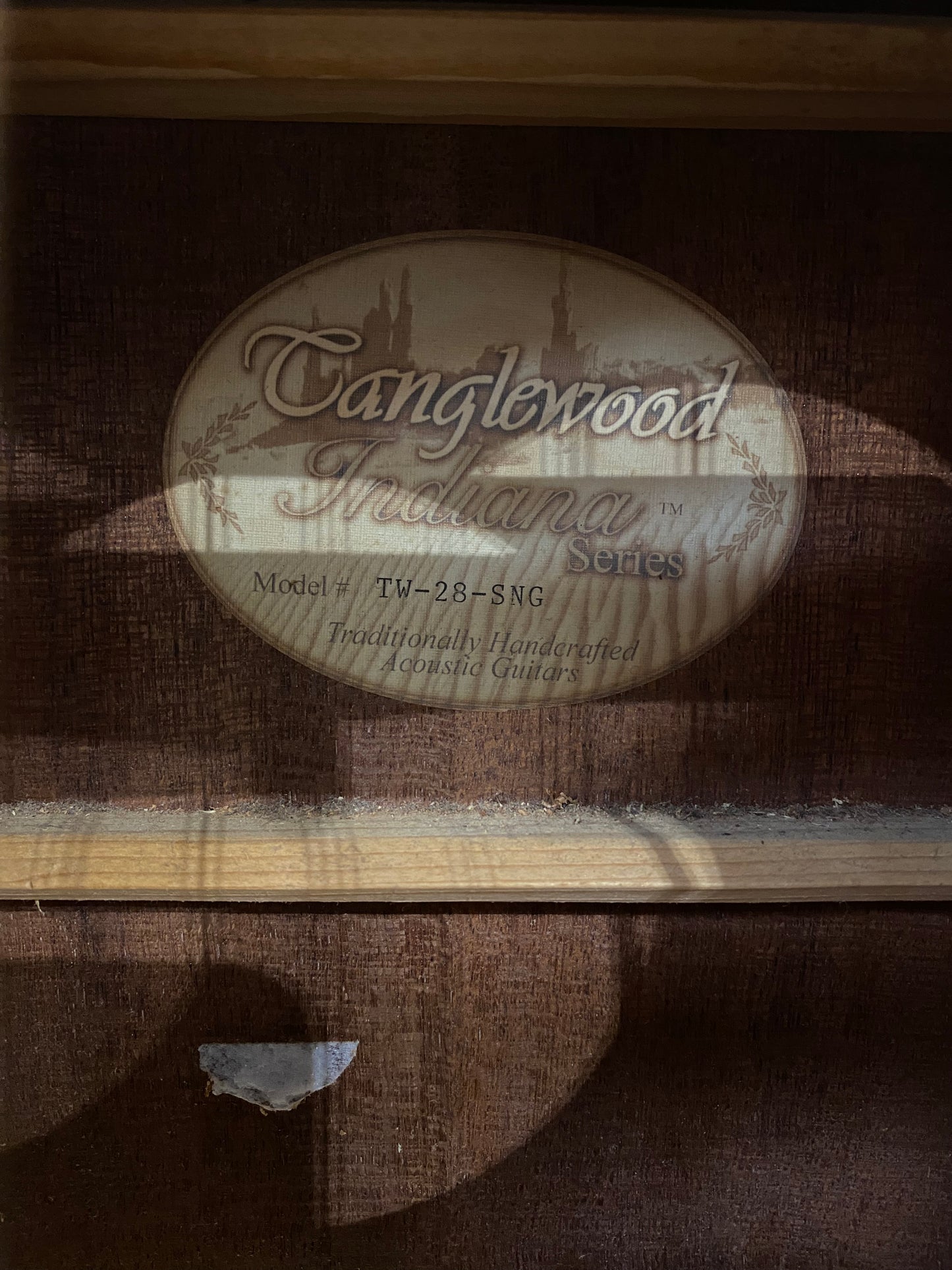 Mandocello Conversion Of Tanglewood Indiana TW-28-SNG w/ Sound Hole Pickup