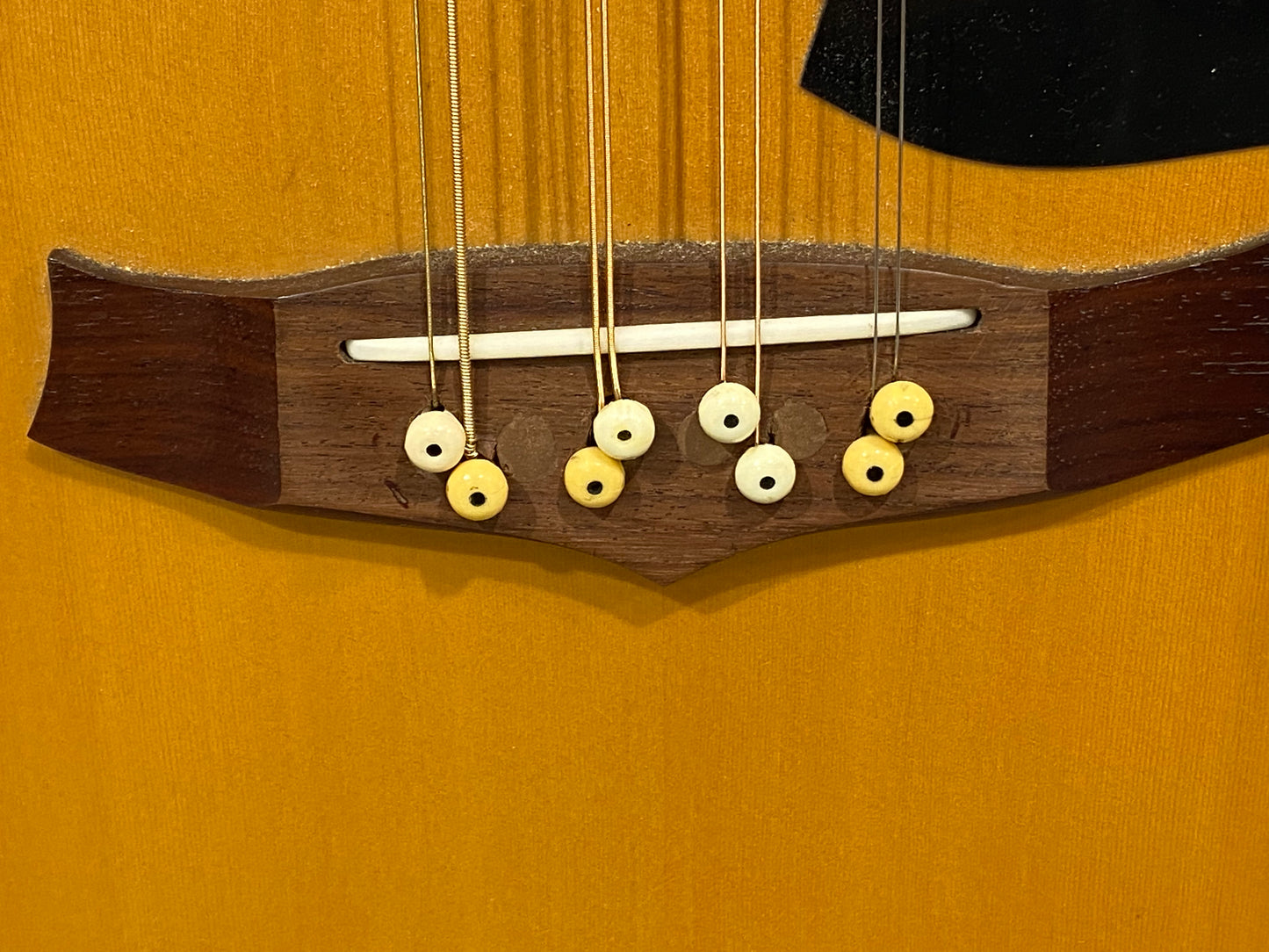 Mandocello Conversion Of Tanglewood Indiana TW-28-SNG w/ Sound Hole Pickup