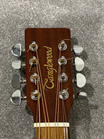 Mandocello Conversion Of Tanglewood Indiana TW-28-SNG w/ Sound Hole Pickup - Image 6