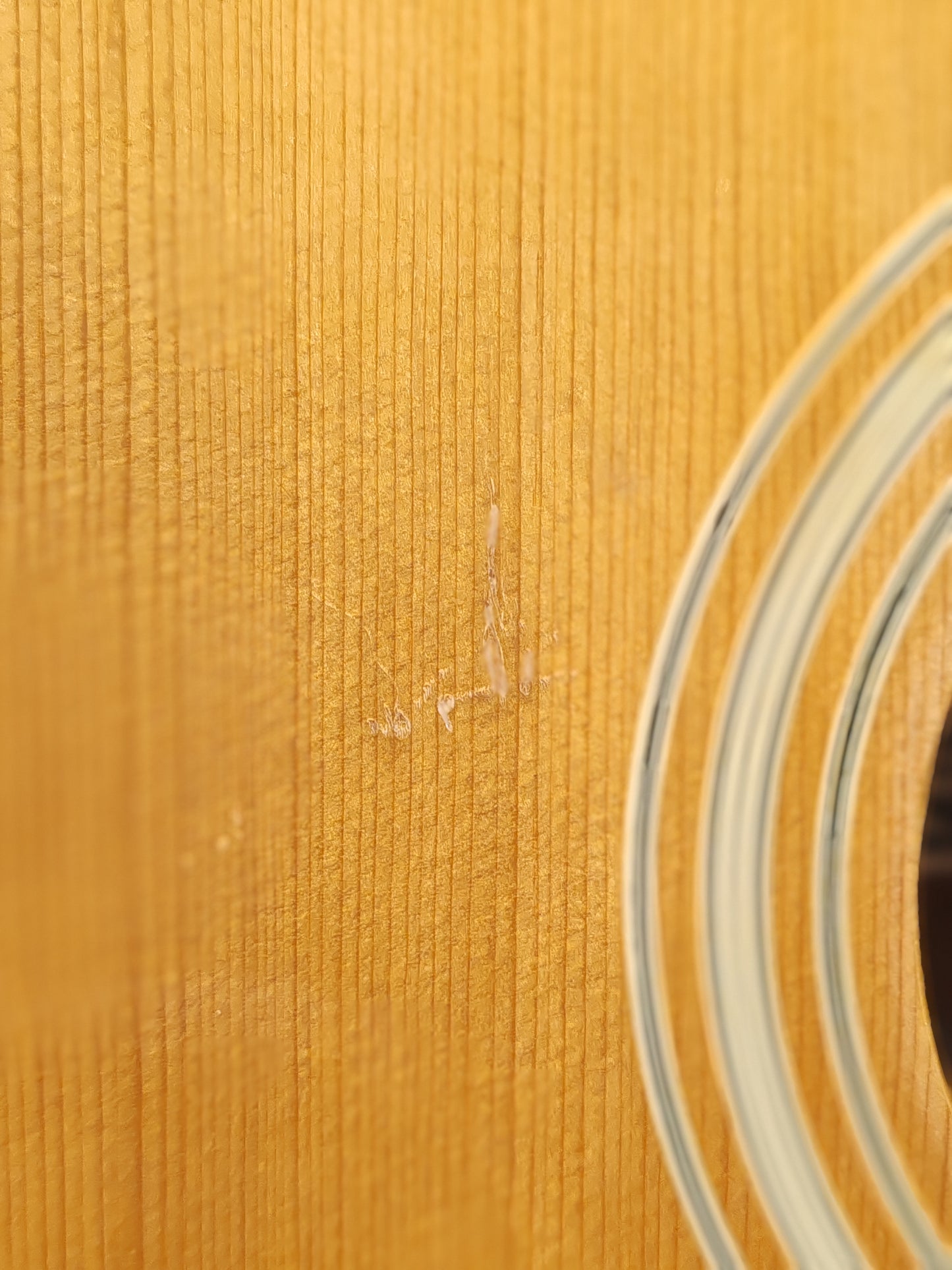 Kiso Suzuki WT-100 12 String Acoustic Guitar - Rich Tone, Mahogany Body - Good