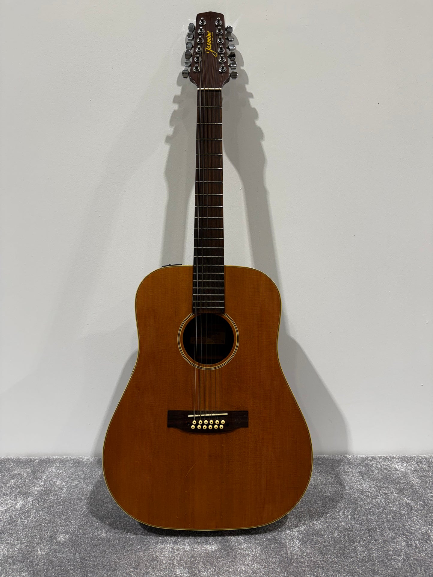 Jasmine by Takamine S-612 12-string electro acoustic guitar