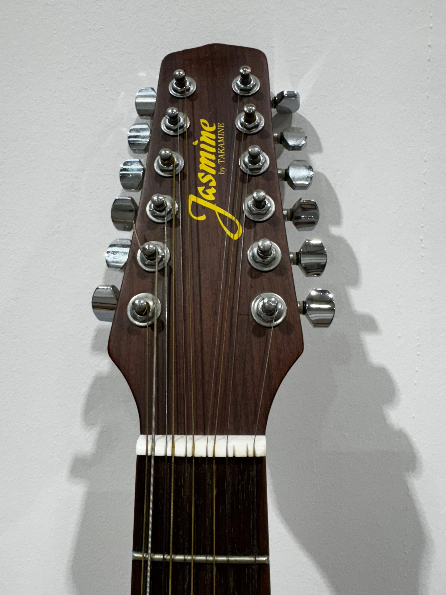Jasmine by Takamine S-612 12-string electro acoustic guitar