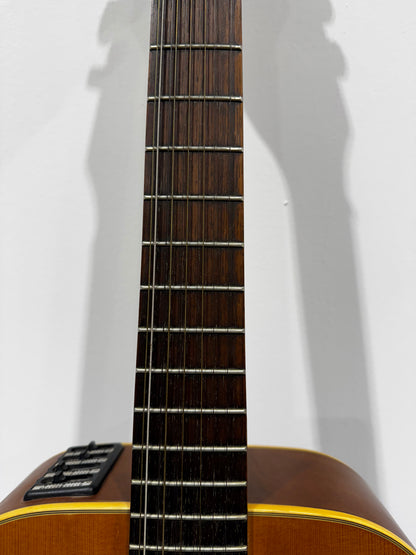Jasmine by Takamine S-612 12-string electro acoustic guitar