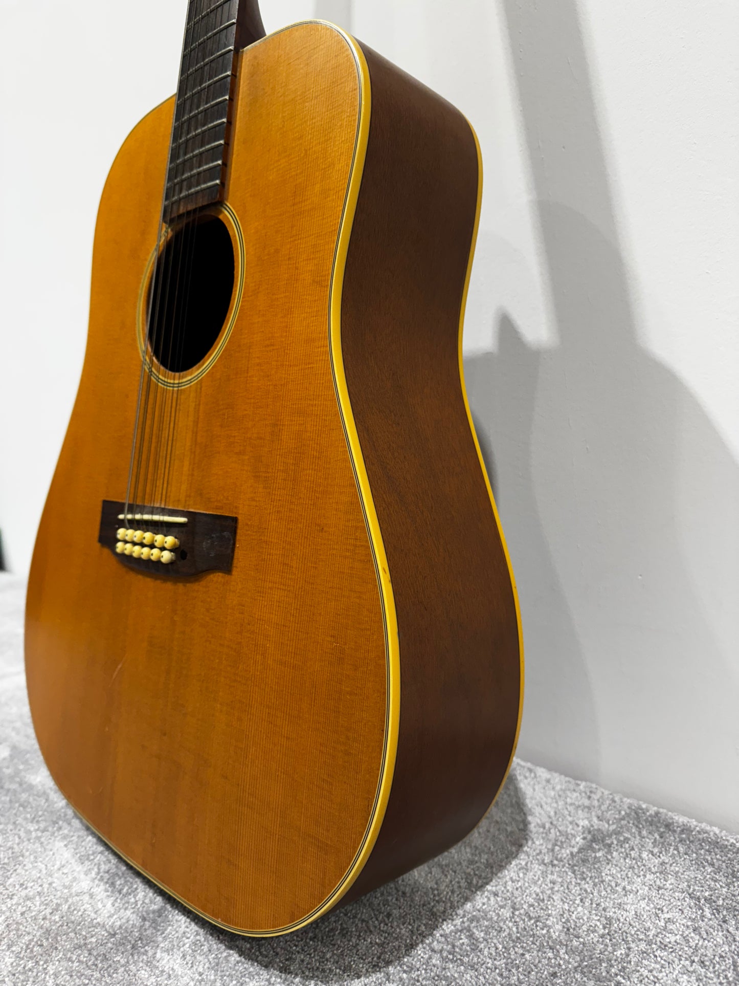 Jasmine by Takamine S-612 12-string electro acoustic guitar