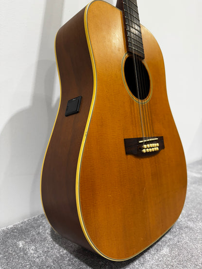 Jasmine by Takamine S-612 12-string electro acoustic guitar