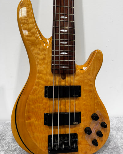 Yamaha TRB1005 5-string Bass Guitar with Chord Soft Case