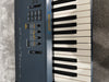 KORG TRITON Extreme 61 Key Synthesizer with Gator soft case - Photo 8