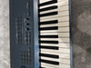 KORG TRITON Extreme 61 Key Synthesizer with Gator soft case - Photo 9