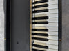 Hohner Pianet T Electro-Mechanical Keyboard designed by Ernst Zacharias - Photo 3