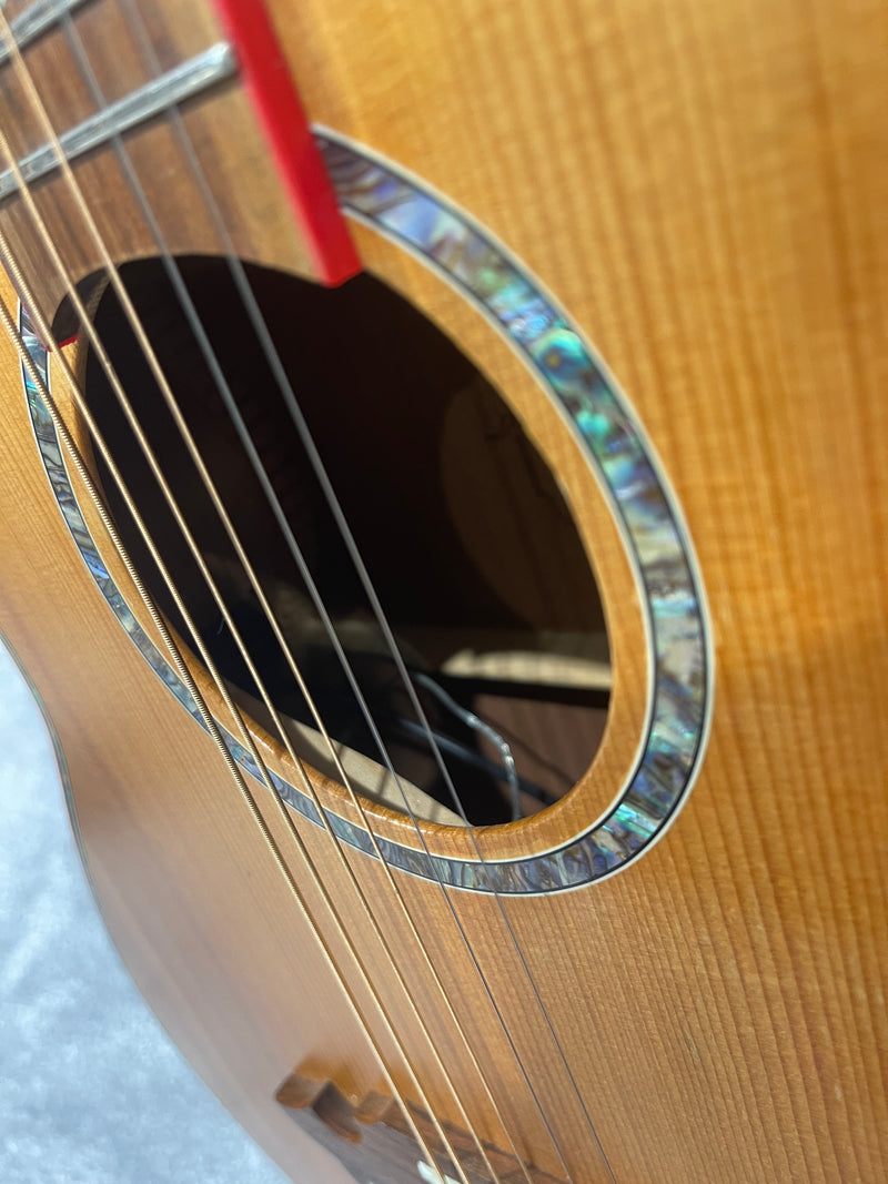 Lindo Dragon Electro Acoustic Guitar - Professionally Setup - Image 10