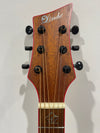 Lindo Dragon Electro Acoustic Guitar - Professionally Setup - Photo 15