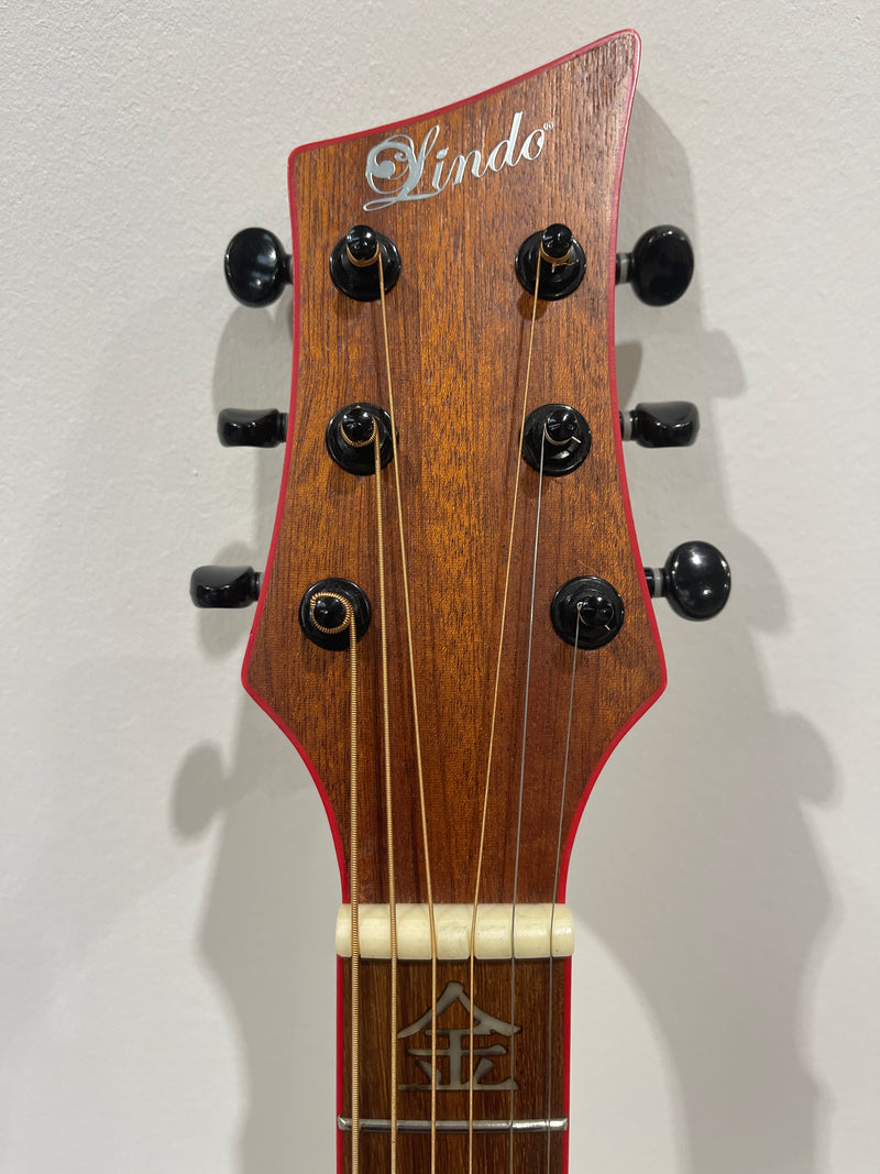 Lindo Dragon Electro Acoustic Guitar - Professionally Setup - Image 15