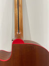 Lindo Dragon Electro Acoustic Guitar - Professionally Setup - Photo 18