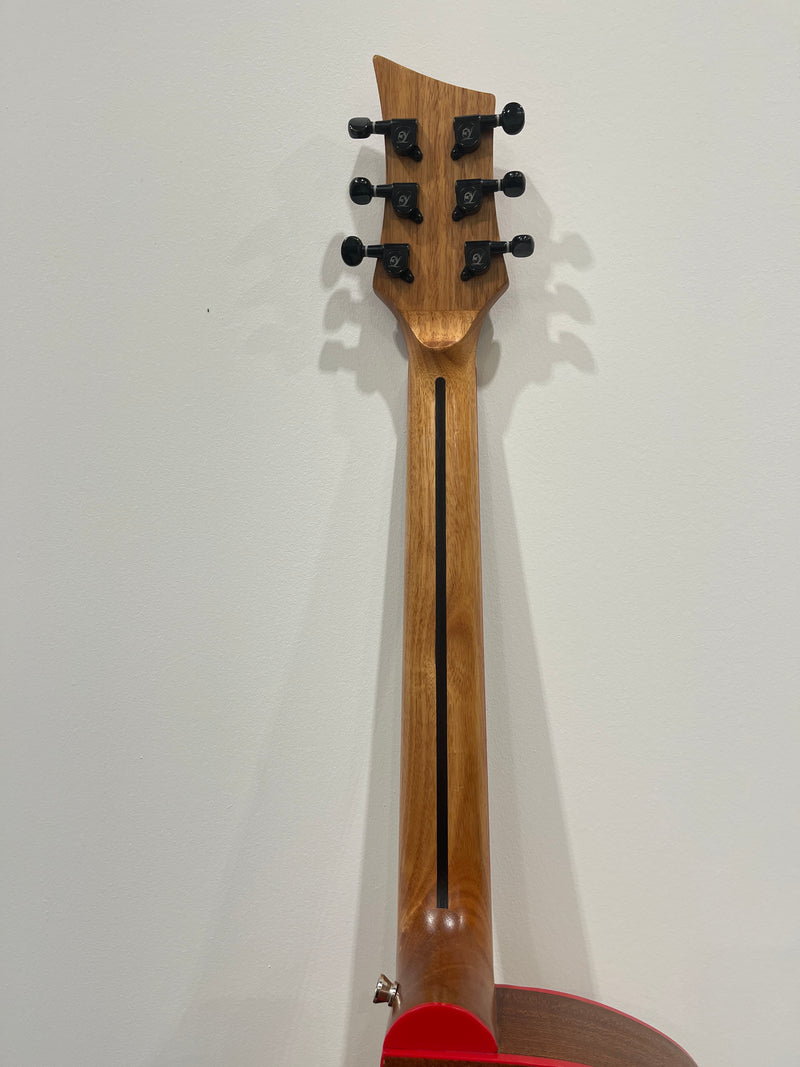 Lindo Dragon Electro Acoustic Guitar - Professionally Setup - Image 19