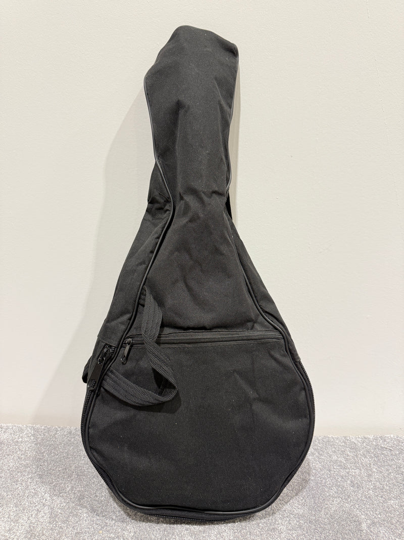 Delta Blue 8 String Mandolin (Red)- with Soft bag, new strings and mandolin chord book - image 15