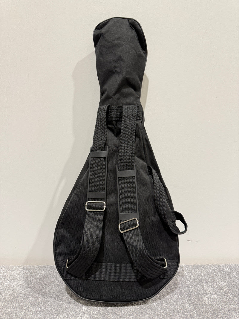 Delta Blue 8 String Mandolin (Red)- with Soft bag, new strings and mandolin chord book - image 14