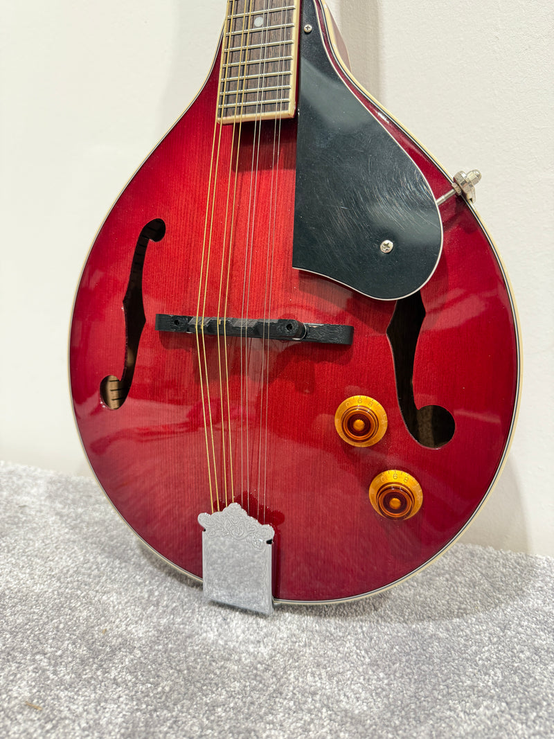 Delta Blue 8 String Mandolin (Red)- with Soft bag, new strings and mandolin chord book - image 2