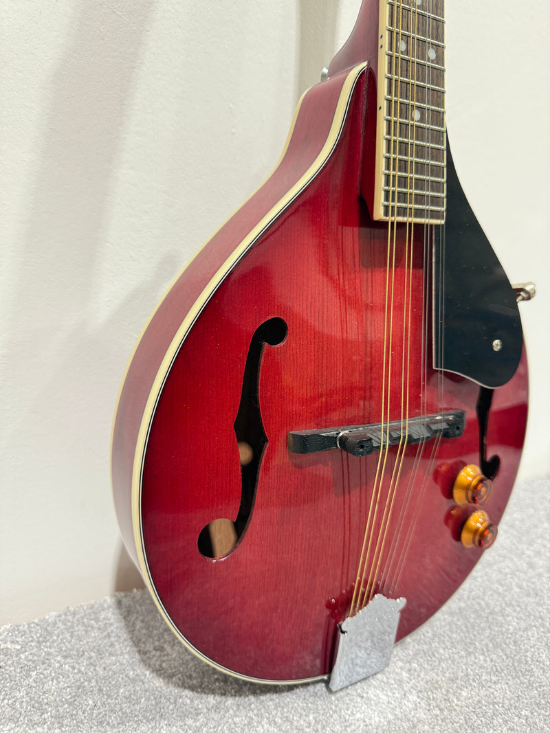 Delta Blue 8 String Mandolin (Red)- with Soft bag, new strings and mandolin chord book - image 3