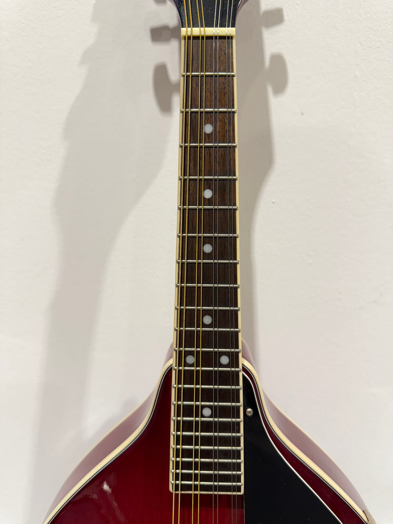 Delta Blue 8 String Mandolin (Red)- with Soft bag, new strings and mandolin chord book - image 7